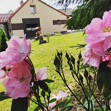 Sudeciak W Masywie śnieżnika Idzikow