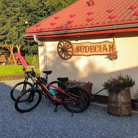 Dom wakacyjny Sudeciak W Masywie śnieżnika *