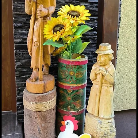 Sudeciak W Masywie śnieżnika Dom wakacyjny *